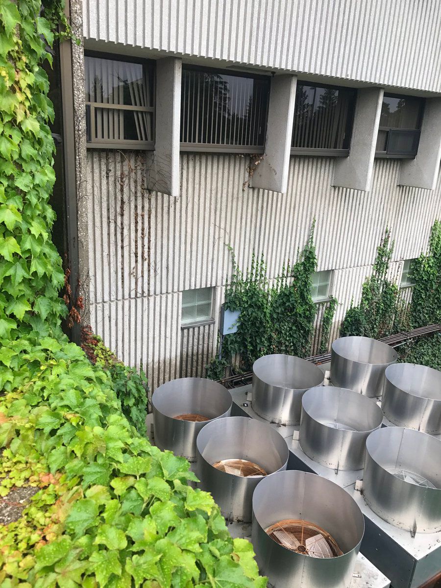 oh my god twitter doesn’t include alt text from images in their API